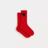 Child Bonpoint Socks And Underwear | Dimas Socks Ruby