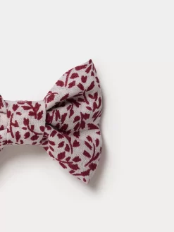 Child Bonpoint Accessories | Miniclic Hair Clips Ruby